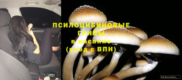 COCAINE Баксан