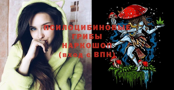 ГАЛЛЮЦИНОГЕННЫЕ ГРИБЫ Балабаново