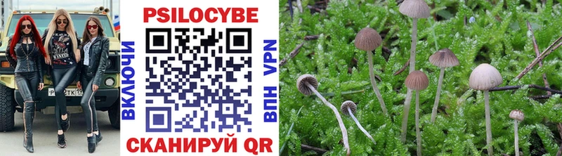 где найти Гурьевск Галлюциногенные грибы Magic Shrooms
