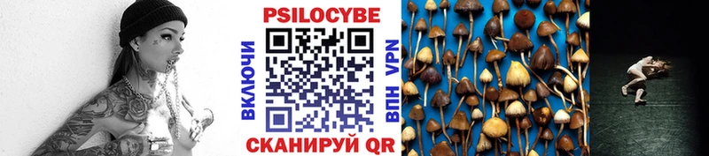 Псилоцибиновые грибы ЛСД Гурьевск